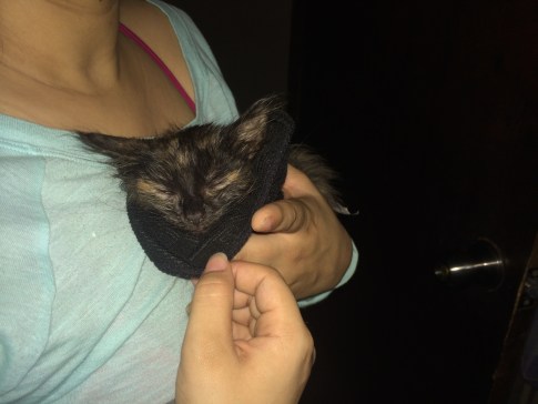 1445B8C5-11D4-488E-915F-7F98F0E60D98